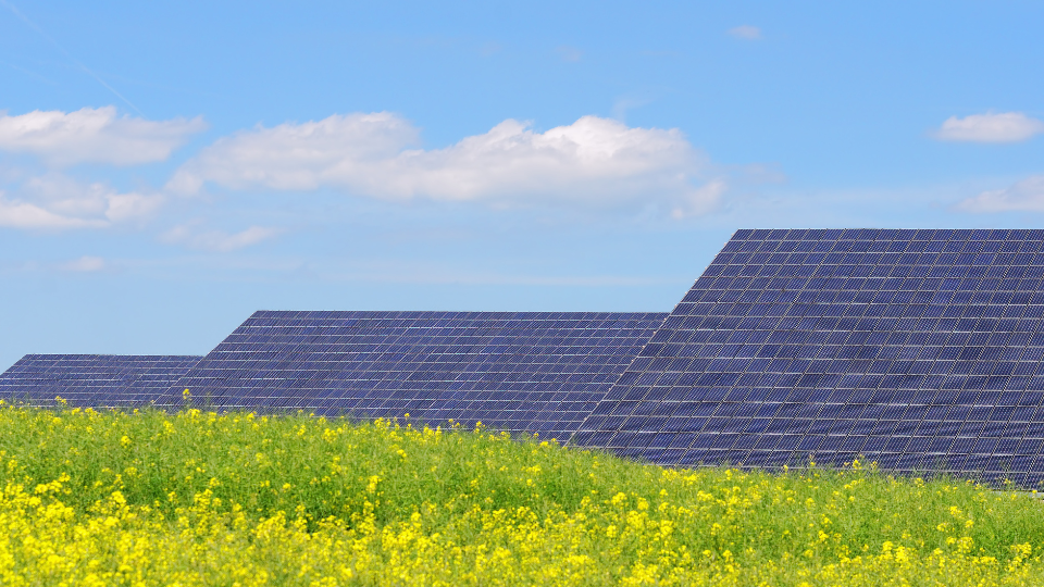 orange county commercial solar panels in field