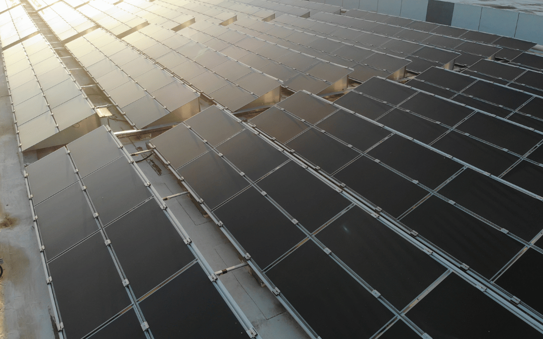 row of high-efficiency solar panels in orange county on roof of commercial business